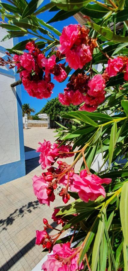 Apartamento Hakuna Matata Benagil