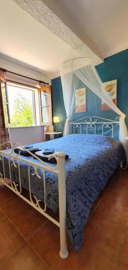 Hakuna Matata Apartment